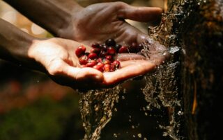 power washing services