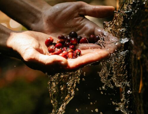 8 Surprising Benefits of Hiring a Professional Power Washing Service